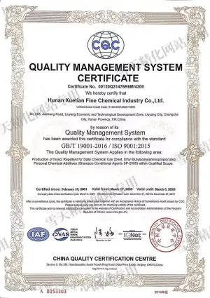 ISO9001(英文)