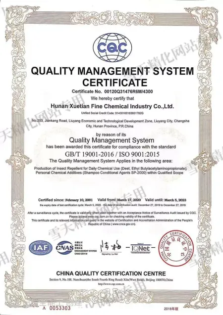 ISO9001(英文)