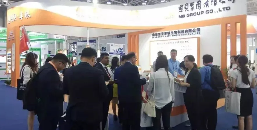 公司参展