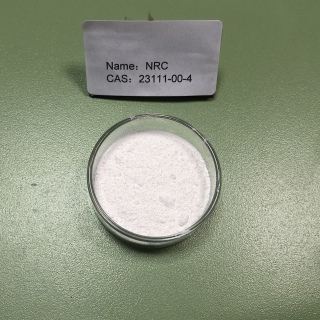 烟酰胺核糖氯化物 23111-00-4