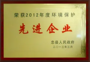 荣誉证书