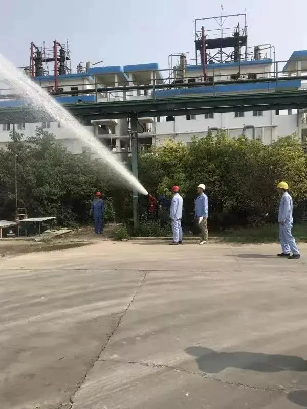 公司活动