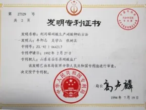 专利证书