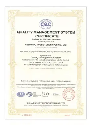 ISO9001(英文)