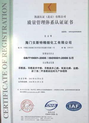 ISO9001(中文)