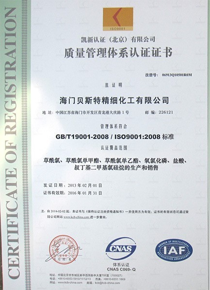 ISO9001(中文)