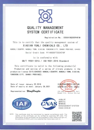 ISO9001(英文)