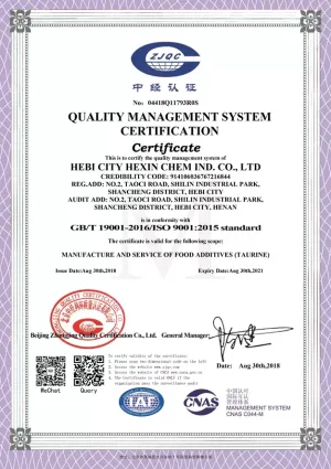 ISO9001(英文)