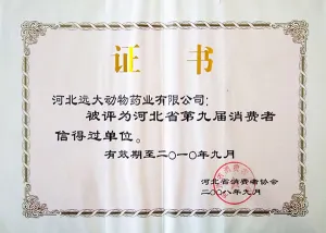 荣誉证书