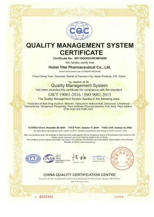ISO9001(英文)