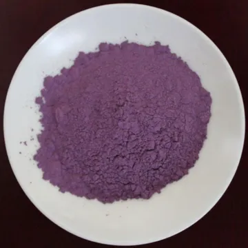 Grubbs 1 代催化剂