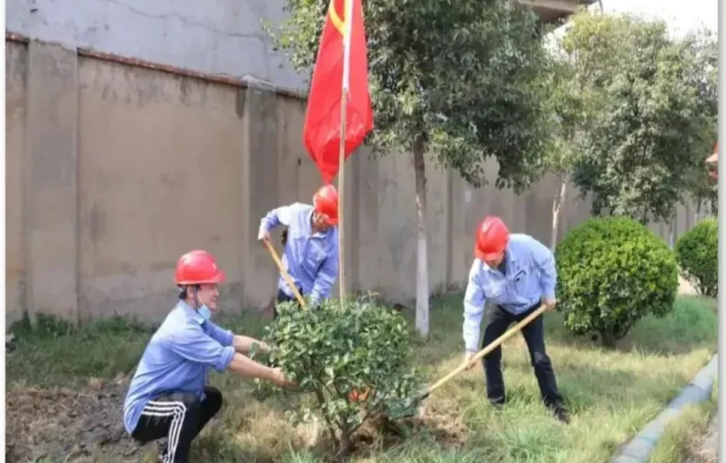 公司活动