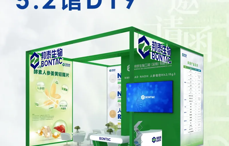 公司参展