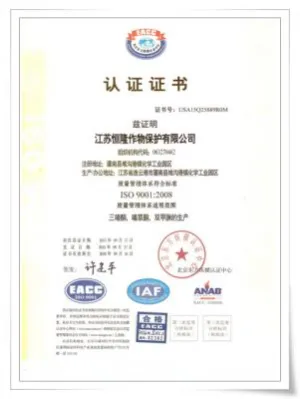 ISO9001(中文)
