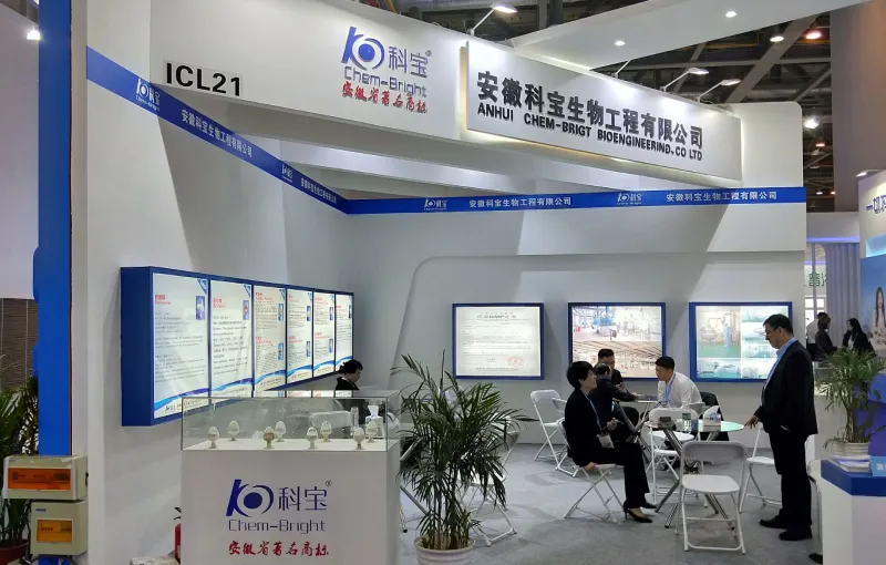 公司参展