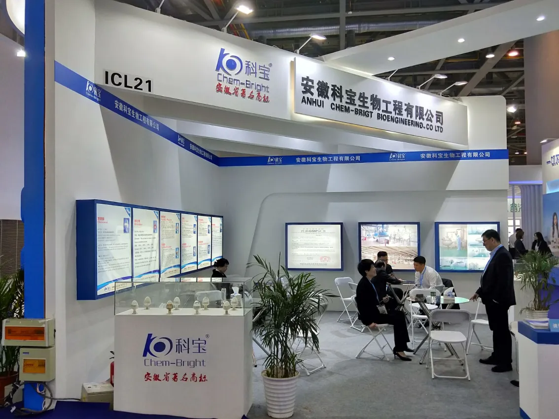 公司参展
