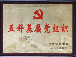 荣誉证书