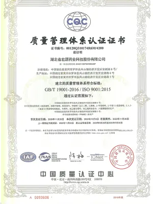 ISO9001(中文)