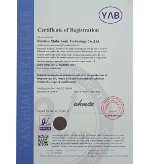 ISO9001(英文)
