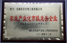 荣誉证书