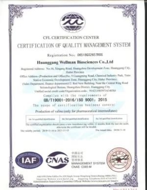 ISO9001(英文)