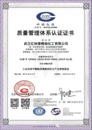ISO9001(中文)