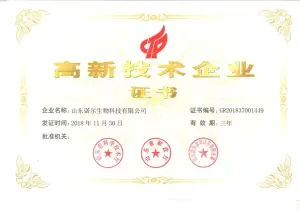 荣誉证书