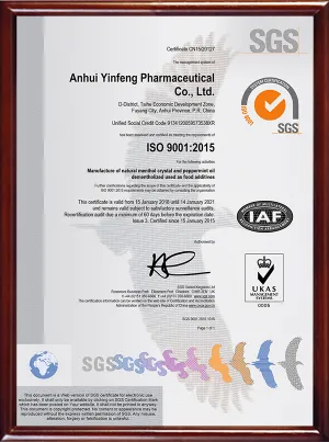 ISO9001(中文)