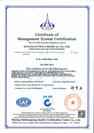 ISO9001(英文)