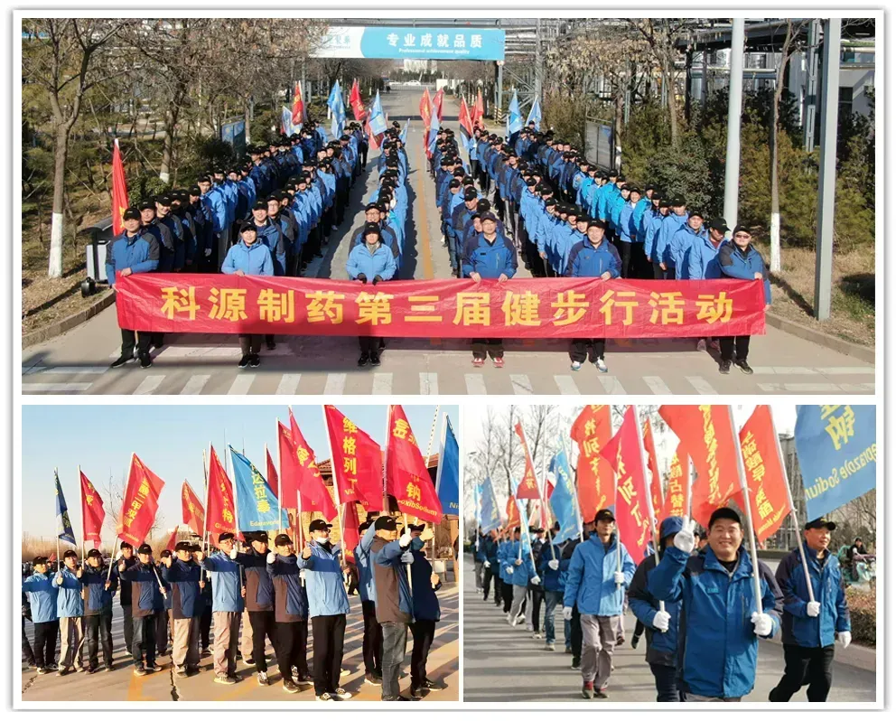 公司活动