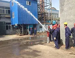 公司活动
