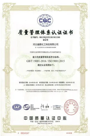 ISO9001(中文)