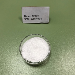 N-乙酰-L-半胱氨酸乙酯 59587-09-6