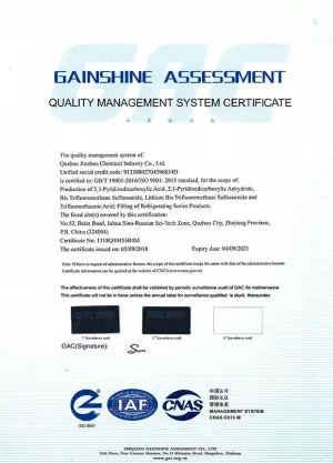 ISO9001(英文)