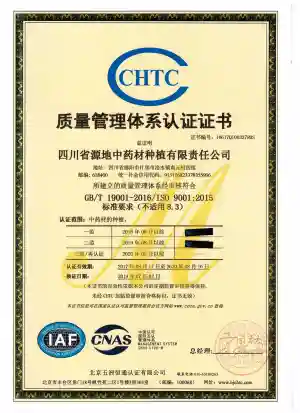 ISO9001(中文)