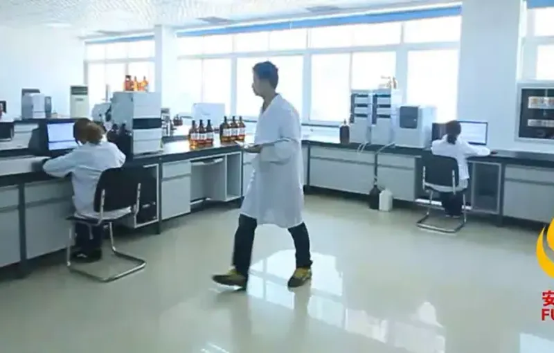 办公区域