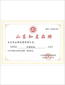 荣誉证书