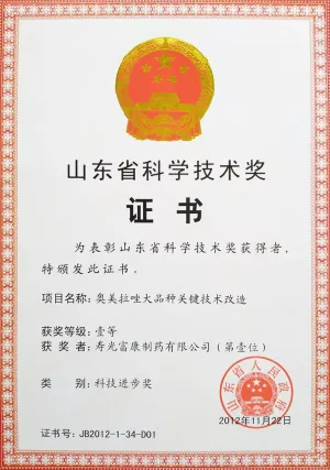 荣誉证书