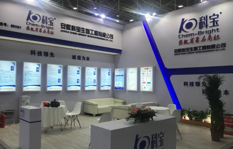 公司参展