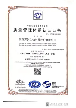 ISO9001(中文)