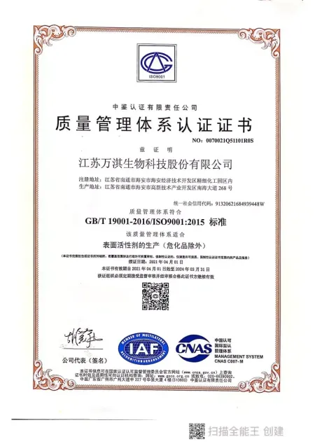 ISO9001(中文)