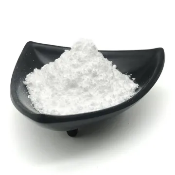 普仑司特