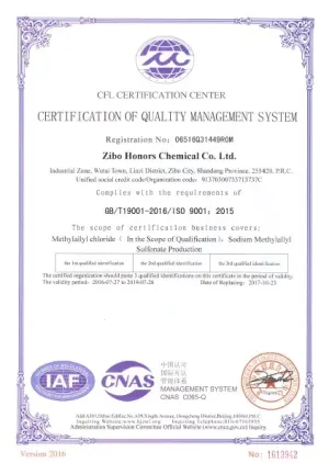 ISO9001(英文)