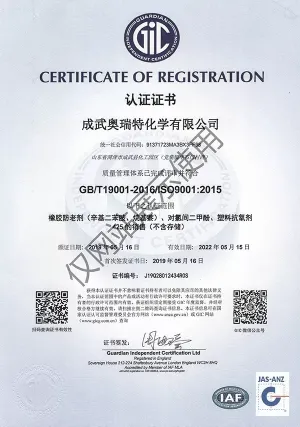 ISO9001(中文)