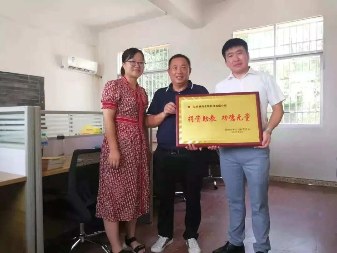 公司活动