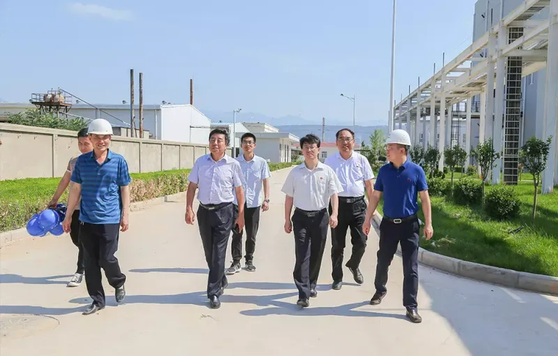 公司活动
