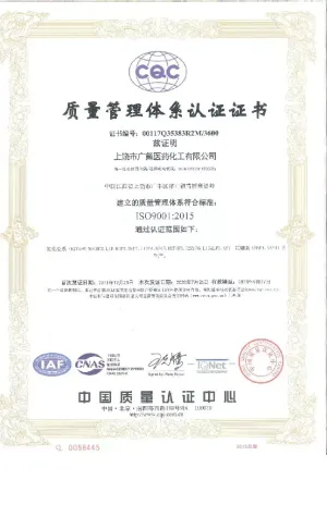 ISO9001(中文)