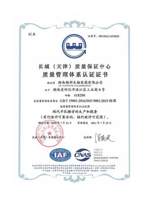 ISO9001(中文)