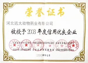 荣誉证书