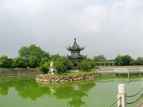 其他图片